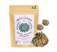 Lot de 3 Roses de Jéricho, Plante Naturelle pour la Prospérité et la Protection, avec Instructions et Prière, Plante de Résurrection Traditionnelle