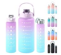 Lot de 3 Sport Gourde 2 L/800 ml/300ml Graduée avec Paille et Marqueur de Temps de Motivation Grande Bouteille sans BPA eau