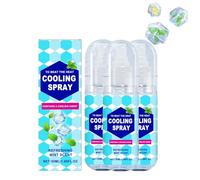 Lot de 3 sprays de refroidissement pour temps chaud, vaporisateur de brume rafraîchissante en été, spray de menthe naturelle pour rafraîchir le visage et le corps, rafraîchissement par temps chaud et