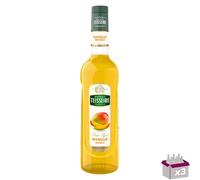 Lot de 3 - TEISSEIRE - Sirop Mangue - 70cL