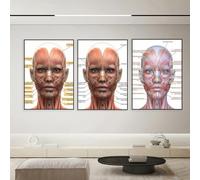 Lot de 3 toiles Affiche Muscles du visage Anatomie Spa médical Chirurgie plastique Spa Infirmière Seringue Décor Esthéticienne Impression Murale Art Chambre Cadeau Salon Dortoir Galerie Couloir Décora
