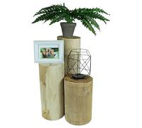 Lot de 3 troncs en bois rustiques lisses sans écorce - 30 à 50 cm - Diamètre : 16 à 20 cm - Pour bricoler l'appartement ou le jardin - En bois de résineux
