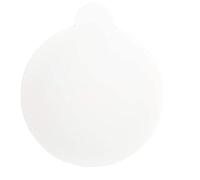 Lot de 30 autocollants ronds pour pièges à puces - Pour cuisine, salon, chambre à coucher, jardin, maison pour animaux de compagnie - Blanc - 11 cm