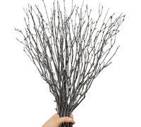 Lot de 30 branches de bouleau séchées bou s - Branches de bouleau naturelles décoratives pour vases de Pâques, branches de saule pour bricolage, arrangement floral, couronne de brindilles, centre