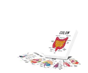Lot de 30 cartes d'anatomie et de physiologie pour étudiants en médecine | Guide d'étude visuelle avec diagrammes d'anatomie humaine et terminologie médicale pour les étudiants en sciences infirmières