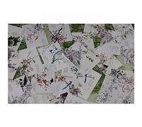 Lot de 30 cartes postales vierges pour peinture à l’encre (Magpie)