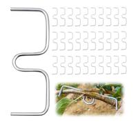 Lot de 30 écarteurs de branches pour arbres fruitiers en forme de M - 10 cm - Pour arbres fruitiers - Outil de pliage pour façonner les branches d'arbres fruitiers