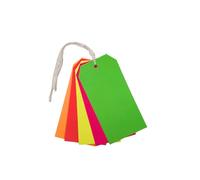 Lot de 30 étiquettes de bagage fluorescentes assorties 60 x 120 mm