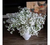 Lot de 30 fleurs blanches artificielles pour bébé - Bouquet de gypsophiles pour décoration de fête de mariage, maison, bureau, jardin (blanc, 30 pièces)