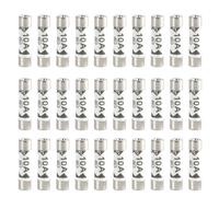 Lot de 30 fusibles en céramique de 10 A - Résistants à la température - Pour prises domestiques et câbles d'extension électriques