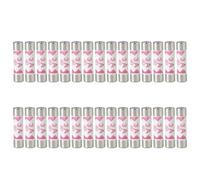 Lot de 30 fusibles en céramique résistants au vandalisme 3 A - Tube de rechange rapide - 6 x 25 mm - Garantit la fiabilité de la maison - Fusibles à cartouche