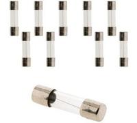 Lot de 30 fusibles en verre 5 x 20 mm 1,6 A G