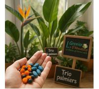Lot de 30 graines à semer - Le Grenier d'Abondance - STRELITZIA & Co - 3 sachets individuels