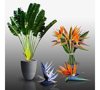 Lot de 30 graines à semer - Le Grenier d'Abondance - STRELITZIA & Co - 3 sachets individuels