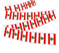 Lot de 30 guirlandes de drapeaux libanais de 9 m, bannière de décoration pour extérieur, intérieur, patio, cour