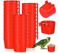 Lot de 30 mangeoires à Oiseaux en Plastique à Suspendre pour Petit poulailler, Perroquet, Perruche, volaille, Pigeon, gibier à Oiseaux - Rouge