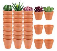 Lot de 30 mini pots en terre cuite en argile de 3,5 cm avec trous de drainage, graines succulentes, conteneurs pour enfants et adultes, pour la maison, le jardin, le bureau