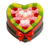 MOSS HEART Lot de 30 roses éternelles rouges et roses - Roses éternelles préservées - Cadeau d'anniversaire, de fête des mères et de Saint-Valentin pour elle, épouse, femme