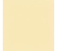 Lot de 30 serviettes en papier - 38 x 38 cm - 2 couches - Pliage 1/4 - Jetables - Micro-gaufrées - Pour mariage, anniversaire, Pâques, restauration, restauration - Champagne