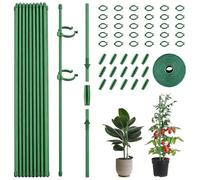 Lot de 30 supports pour plantes - 30 cm - Avec clips - Tubes d'extension - Réglable - Accessoire de jardin - Pour tomates, concombres, plantes d'intérieur