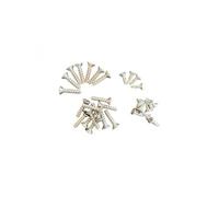 Hayward - Lot de 30 vis pour Skimmer de Piscine paroi Mince - SKPMXVS