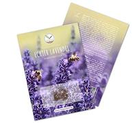 Lot de 300 graines de lavande à haute teneur en germes - Plante de guérison polyvalente et idéale pour les abeilles et les papillons (inclus dans le livre)