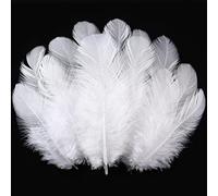 Lot de 300 plumes blanches pour travaux manuels - Plumes de 7,6 à 12,7 cm en vrac pour mariage, maison, fête, attrape-rêves et loisirs créatifs (blanc)