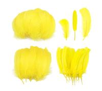 Lot de 300 plumes jaunes, plumes de bricolage, plumes naturelles, décorations de plumes qui peuvent être utilisées pour la fabrication d'accessoires de vêtements, de coiffures et de décorations de