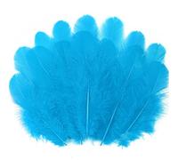 Lot de 300 plumes turquoise pour travaux manuels - Plumes de 7,6 à 12,7 cm pour loisirs créatifs, mariage, fête à la maison, fournitures d'attrape-rêves et loisirs créatifs (turquoise)