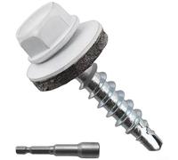Lot de 300 vis à tête hexagonale blanches auto-perceuses pour toiture en métal avec rondelle EPDM, filetage grossier résistant à la rouille pour une fixation sûre sur des surfaces métalliques dans