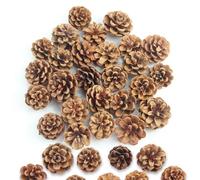 Lot de 32 Noël Décoration de Pomme de Pin 3-4 cm Mini Pommes de Pin Naturelles Décoration Automne Convient pour Les Arbres de Noël L'artisanat en Résine et la Décoration de Maison