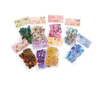 Lot de 320 autocollants rétro en PET pour journal, cahier, scrapbooking, décoration murale, animal domestique transparent pour journal intime