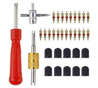 Lot de 33 outils de retrait de valve de pneu de voiture | Kit de réparation de valve de pneu | Extracteur de noyau de valve à double et tête unique | Outil de valve à 4 voies | 10 bouchons de valve |