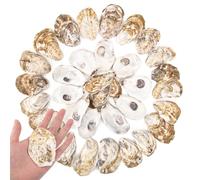Lot de 35 coquilles d'huîtres plates de 7,6 à 10,2 cm de long pour travaux manuels, décoration nautique, décoration d'intérieur, loisirs créatifs, fabrication de bougies