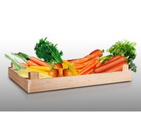 Lot De 3500 Graines De Carottes À Semer - Le Grenier D'abondance - Fan De Carottes - 7 Variétés
