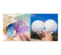 Lot de 36 coquilles festonnées naturelles pour loisirs créatifs et décoration sur le thème de la plage, décorations de mariage et décorations d'intérieur à l'aide de coquillages authentiques (blanc)