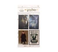 SD TOYS - Set de 4 aimants lenticulaires Harry Potter assortis - Dimensions : 15 x 28.5 cm