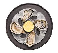 Lot de 4 Assiettes à huîtres réfrigérantes en Poche de Glace - Cale 4 x 6 huîtres + demi citron - Innovation Française - Pack Convives
