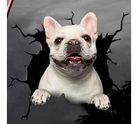 Lot de 4 autocollants 3D pour chien - Bulldog français - Autocollant pour réfrigérateur - Motif bouledogue français - 30 cm x 30 cm
