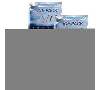 Lot de 4 blocs réfrigérants pour boîtes à déjeuner - Pratique - Pour la plage, le camping, le pique-nique, la pêche, la plage