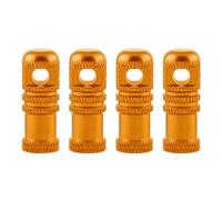 Lot de 4 bouchons de valves d'air pour vélo de montagne - Décorations pour vélo de route - Étanche