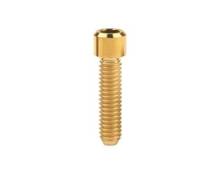 Lot de 4 boulons à tête hexagonale en titane M4 x 10 mm, 13,5 mm, 15 mm, 20 mm, 25 mm, fixations for vélo(Gold,10MM_M4)