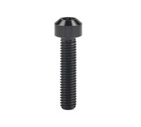 YUANYAO Lot de 4 boulons en Titane M8 x 10 15 20 25 30 35 40 45 50 mm Torx T40 for pièces de Modification de Moto et de Voiture(Black,25MM_M8)