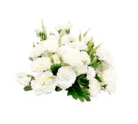 Lot de 4 bouquets de fleurs artificielles en soie blanches permanentes et feuilles vertes pour fête à la maison, mariage, festival, décoration avec 10 fleurs par bouquet - 30,5 cm