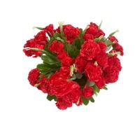 Lot de 4 bouquets de fleurs artificielles en soie - Bouquet de 30,5 cm et feuille verte pour accessoires photo, fête à la maison, mariage, décoration de festival avec 10 fleurs par bouquet (rouge)
