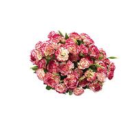 Lot de 4 bouquets d'œillets artificiels en soie, bouquet de 30 cm et feuille verte pour accessoires photo, fête à la maison,mariage,festival, décoration avec 10 fleurs par bouquet (bord rouge-blanc)