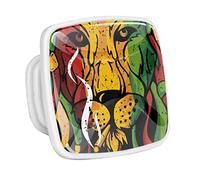 Lot de 4 boutons de tiroir à motif rasta lion pour commode, cuisine, placard, placard, salle de bain