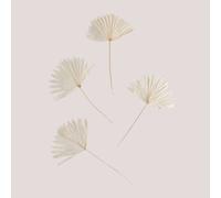 SKLUM Lot de 4 Branches séchées décoratives Urpek Blanc