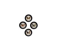 Lot de 4 cadres en bois de pin noir, ronds, à fixer - Chehoma, Colorés - Ø23x1 cm