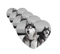 Lot de 4 cartes de désodorisants pour voiture Husky Dogs Snow - Cadeau personnalisé pour homme et femme - Tablettes d'aromathérapie - Cartes parfumées à suspendre pour armoire de salle de bain